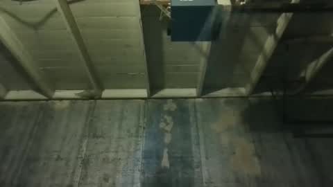 leo199984 online show from March 25, 2:39 am