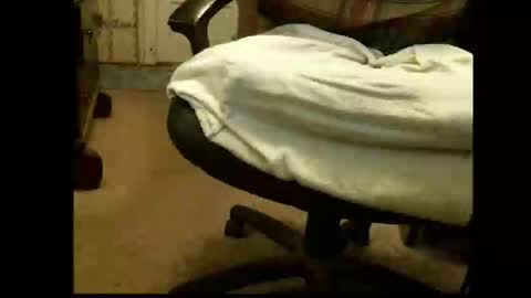 Sasquatch online show from March 1, 5:37 pm