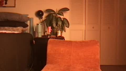 Little Lily online show from June 19, 4:39 am