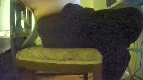 lilylovelyman50 online show from June 22, 12:02 pm