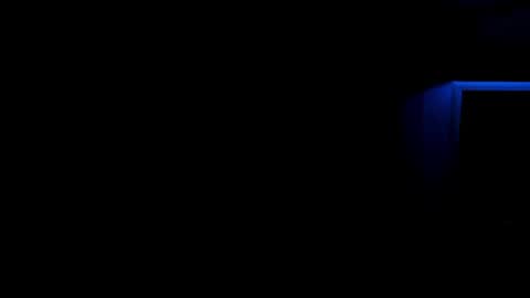 Snapshot of lina_vi chatting on December 21, 5:47 am Lina online show from December 21, 5:47 am