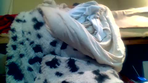 Richie Rich online show from January 15, 10:35 pm