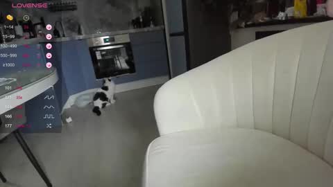 Lisa online show from March 31, 4:24 am