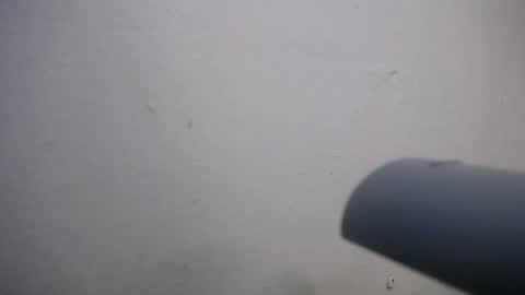 lisa_branch online show from November 4, 7:02 pm