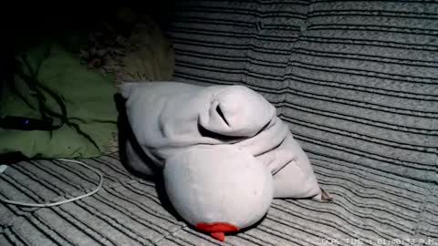 Malej Kmo online show from February 17, 12:40 am