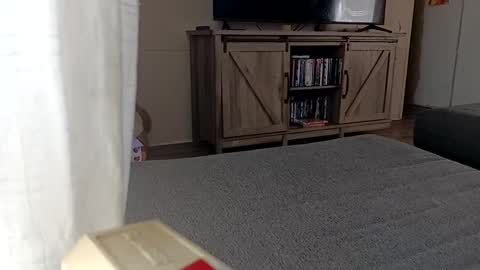 Snapshot of ljandcherry chatting on September 11, 5:02 pm LjCherry online show from September 11, 5:02 pm