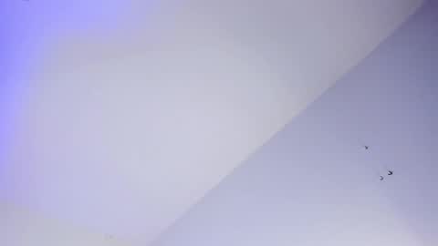 Logan online show from October 16, 8:04 am