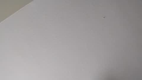 Snapshot of longloadedtx chatting on January 16, 11:09 pm Mr. FogoDeChao online show from January 16, 11:09 pm