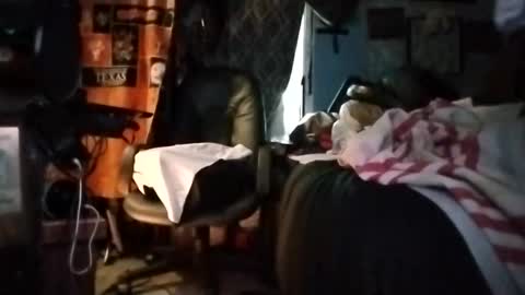 Mr. FogoDeChao online show from March 5, 5:31 pm