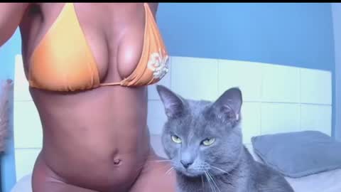 Blackcat online show from March 30, 12:00 am