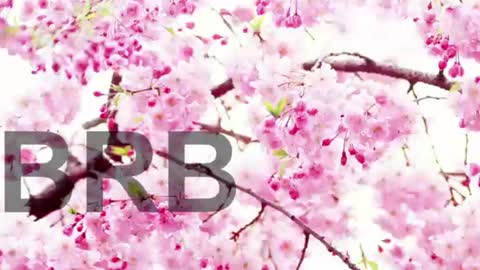 Lorraine online show from June 9, 7:58 pm
