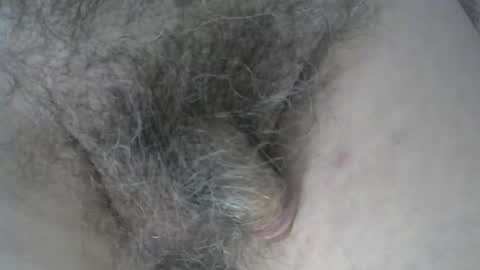 loveabush49 online show from November 5, 8:53 pm