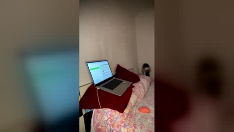 Luisa Monsters online show from February 23, 11:57 pm