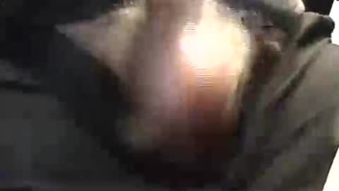 lukestarfckr online show from May 29, 1:53 pm