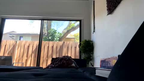 lunaloopzz online show from March 11, 5:52 pm