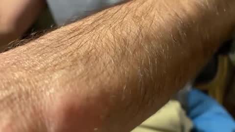 lupushorny online show from September 20, 11:06 pm