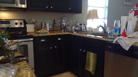 lustersp1ce online show from December 6, 6:06 pm