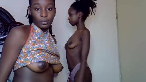 lutino_lovebirds online show from March 14, 11:15 am