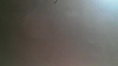 Bee Bee online show from March 25, 4:29 am