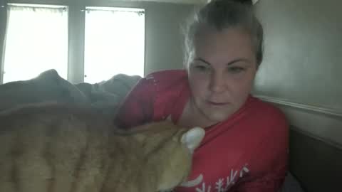 Madison online show from December 4, 3:10 pm