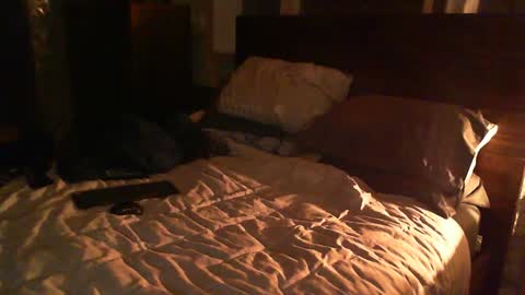 Guigui online show from February 26, 12:38 am