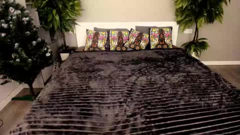 Emily online show from December 15, 2:10 pm