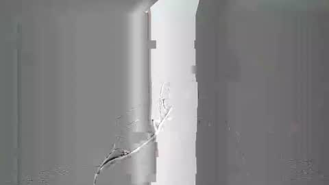 breton online show from February 4, 8:20 am