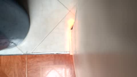 Snapshot of mamm7772024 chatting on April 4, 7:00 pm Mickey online show from April 4, 7:00 pm