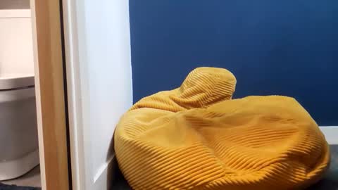 marcoandhoney online show from February 14, 8:05 pm