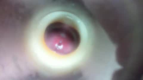 Marc online show from February 23, 1:58 am