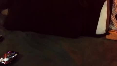 marctheslut online show from May 26, 6:04 pm