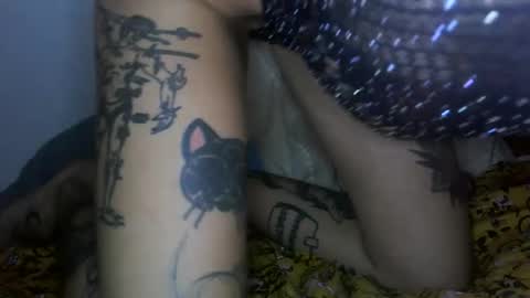 margotshorse online show from February 22, 9:02 pm