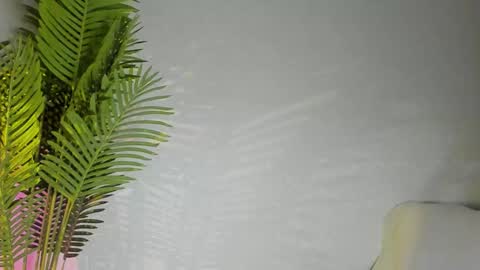 Snapshot of maribett chatting on November 8, 7:45 pm Masha online show from November 8, 7:45 pm