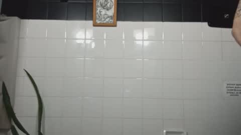 masachusset online show from January 6, 7:12 am