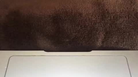 massivehungbigdick online show from June 2, 9:06 pm