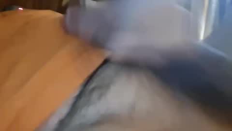 masturbator469658 online show from January 13, 5:29 pm