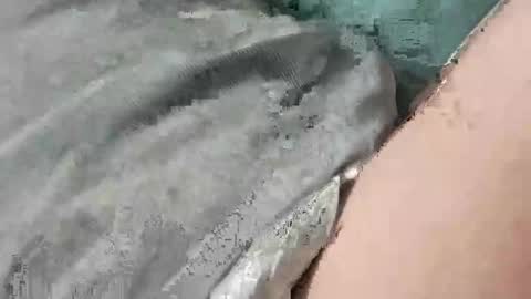 mathisdavid6757 online show from November 22, 1:32 pm