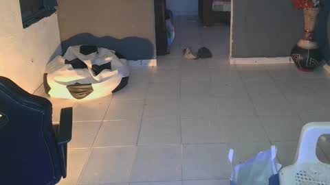 Snapshot of mattias_dantee chatting on February 19, 2:12 am mattias online show from February 19, 2:12 am