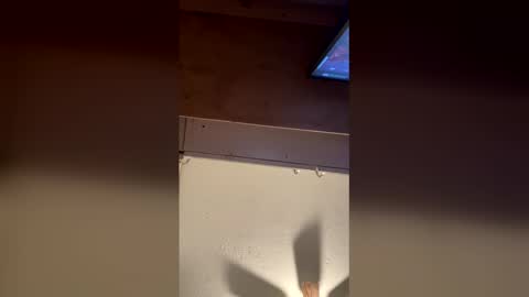 meep08 online show from January 8, 7:43 am