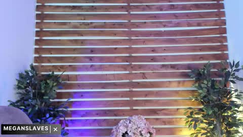 megan_raiin online show from November 18, 8:41 am