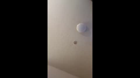 Snapshot of mel_hart_jr chatting on May 18, 7:09 pm mel_hart_jr online show from May 18, 7:09 pm