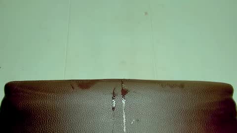 Melania online show from April 12, 4:01 pm