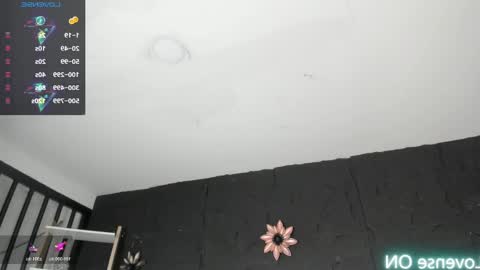 Melissa online show from May 21, 2:02 pm