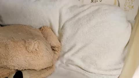 MelMooon online show from March 11, 8:59 pm