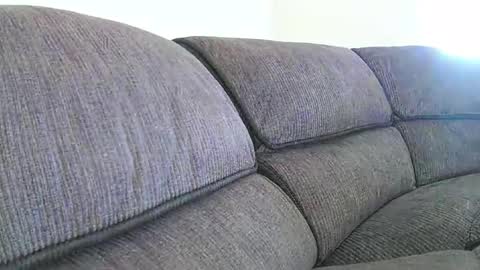 mexianthehawk online show from January 18, 9:29 pm