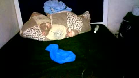 VAL online show from January 7, 8:39 am