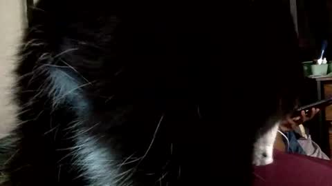 Mistress Mystii online show from March 1, 5:42 am