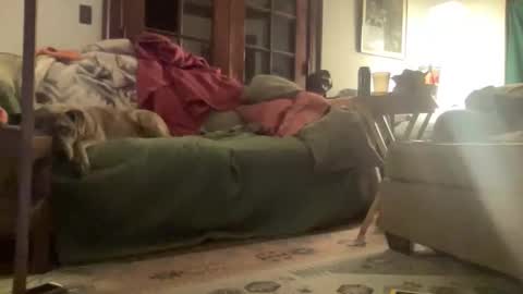 Snapshot of mizzstorm13 chatting on March 15, 3:45 am Mizz Storm online show from March 15, 3:45 am