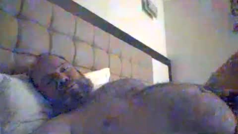 Snapshot of mofu781s chatting on January 8, 8:55 pm mofu781s online show from January 8, 8:55 pm