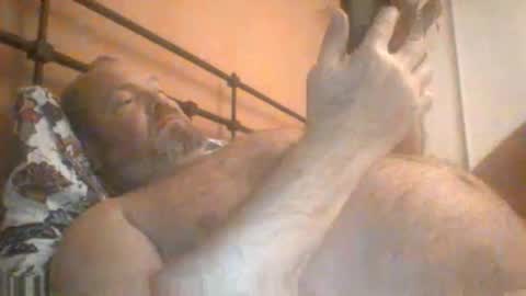 Snapshot of mofu781s chatting on February 4, 8:53 am mofu781s online show from February 4, 8:53 am